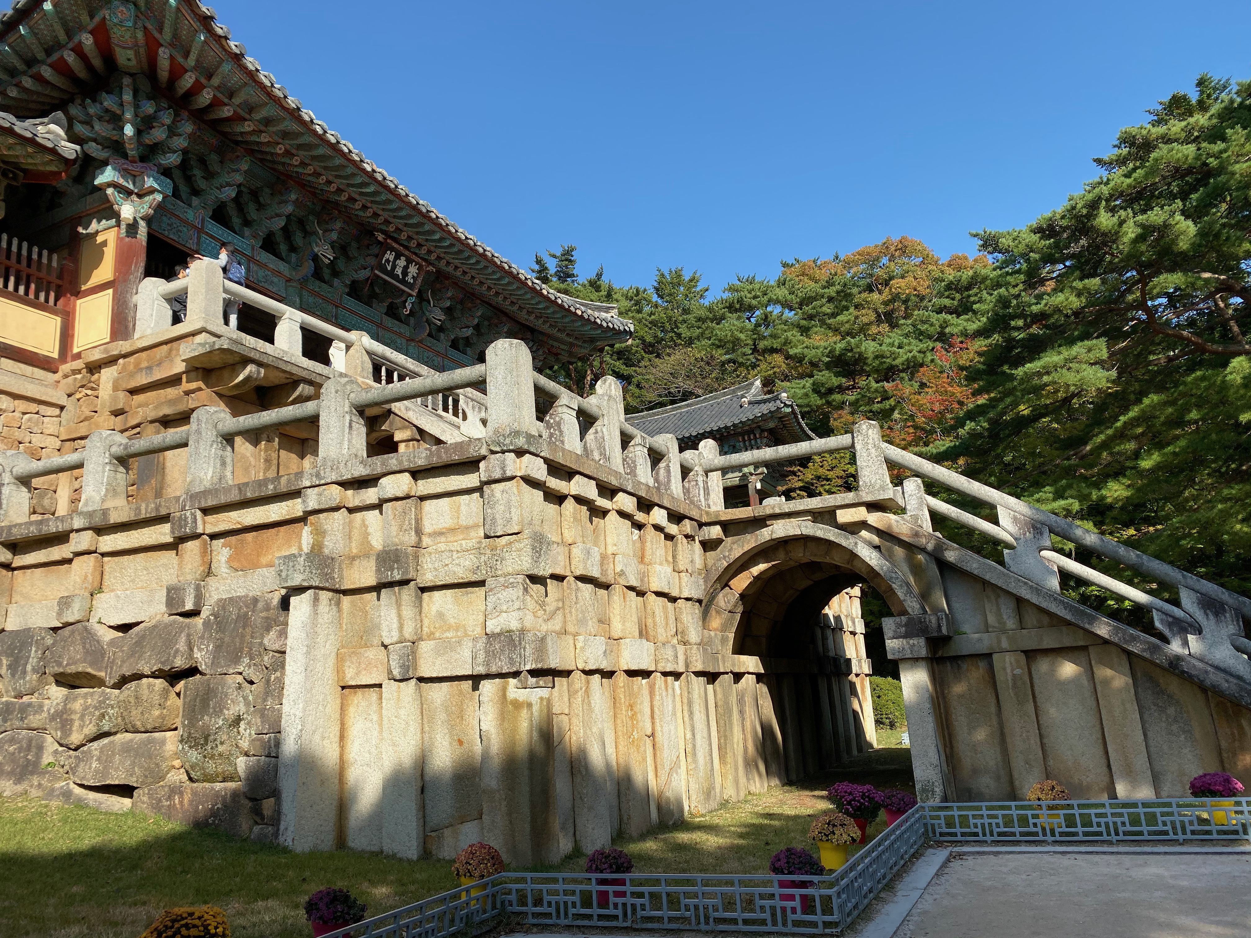 0231A4D5-93A6-40C9-A8B2-F509F0A5167C