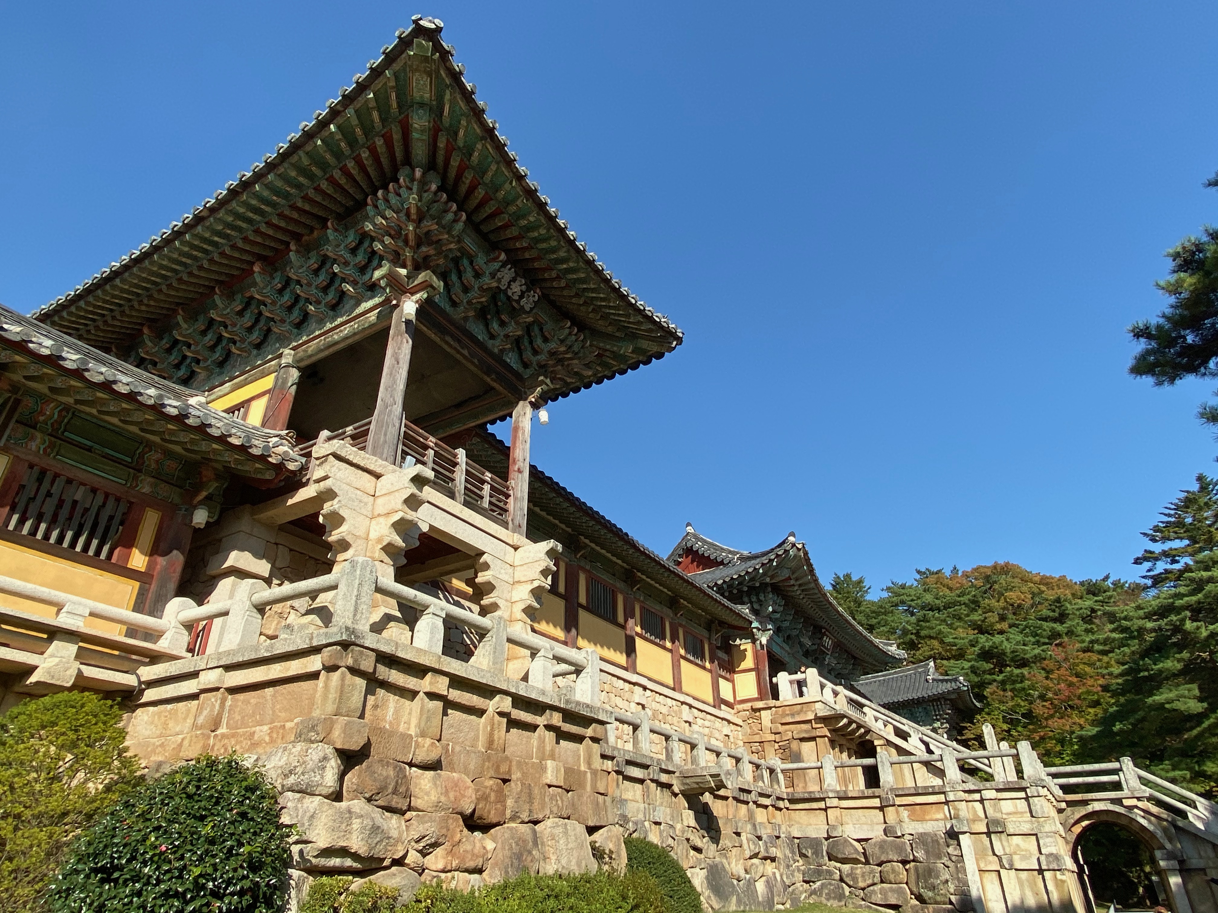 0658CED6-0601-4713-9AA2-A00BACC6D84D