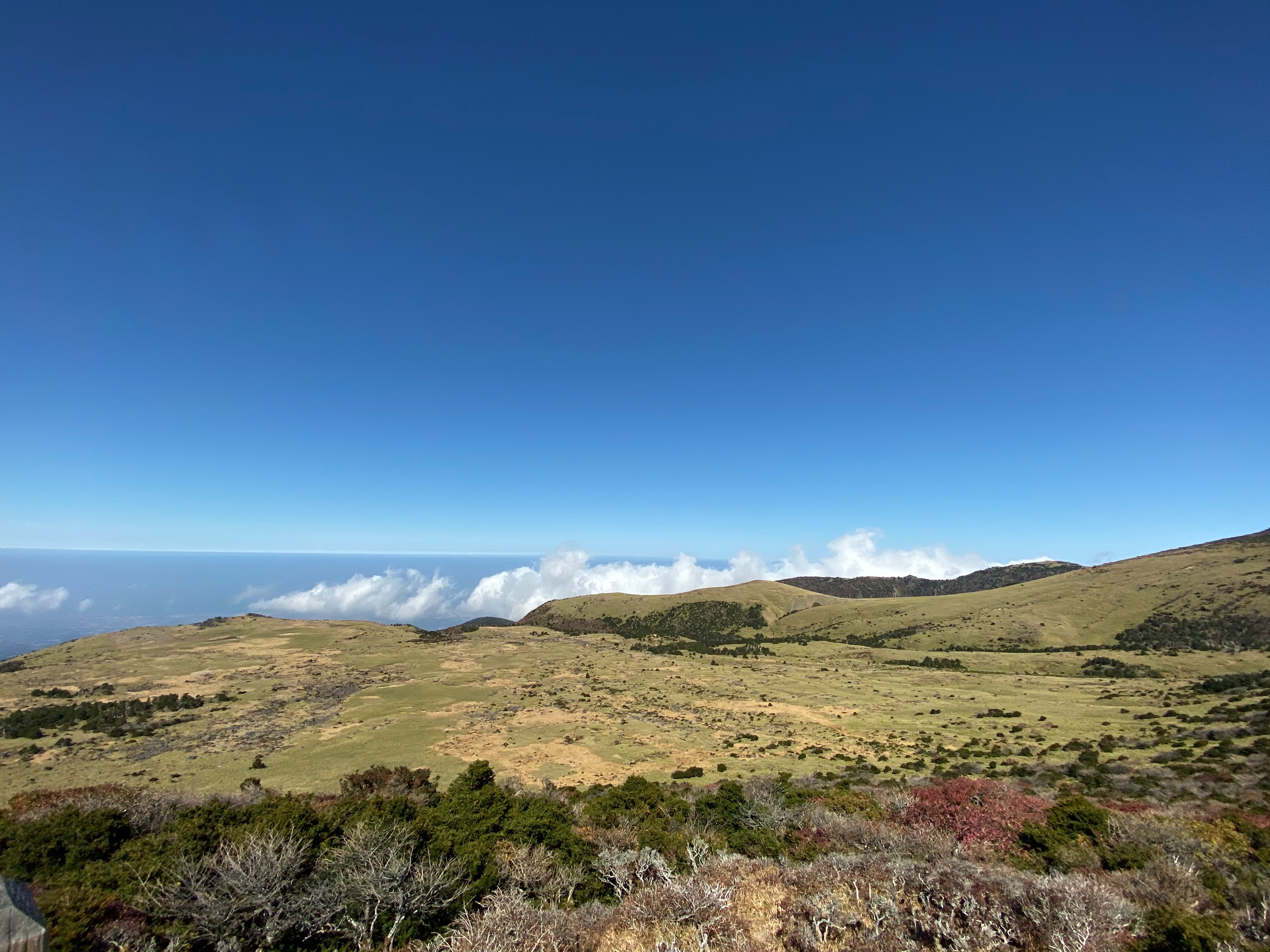 0833139C-77A8-49A1-8BCD-67E6C855A0D8