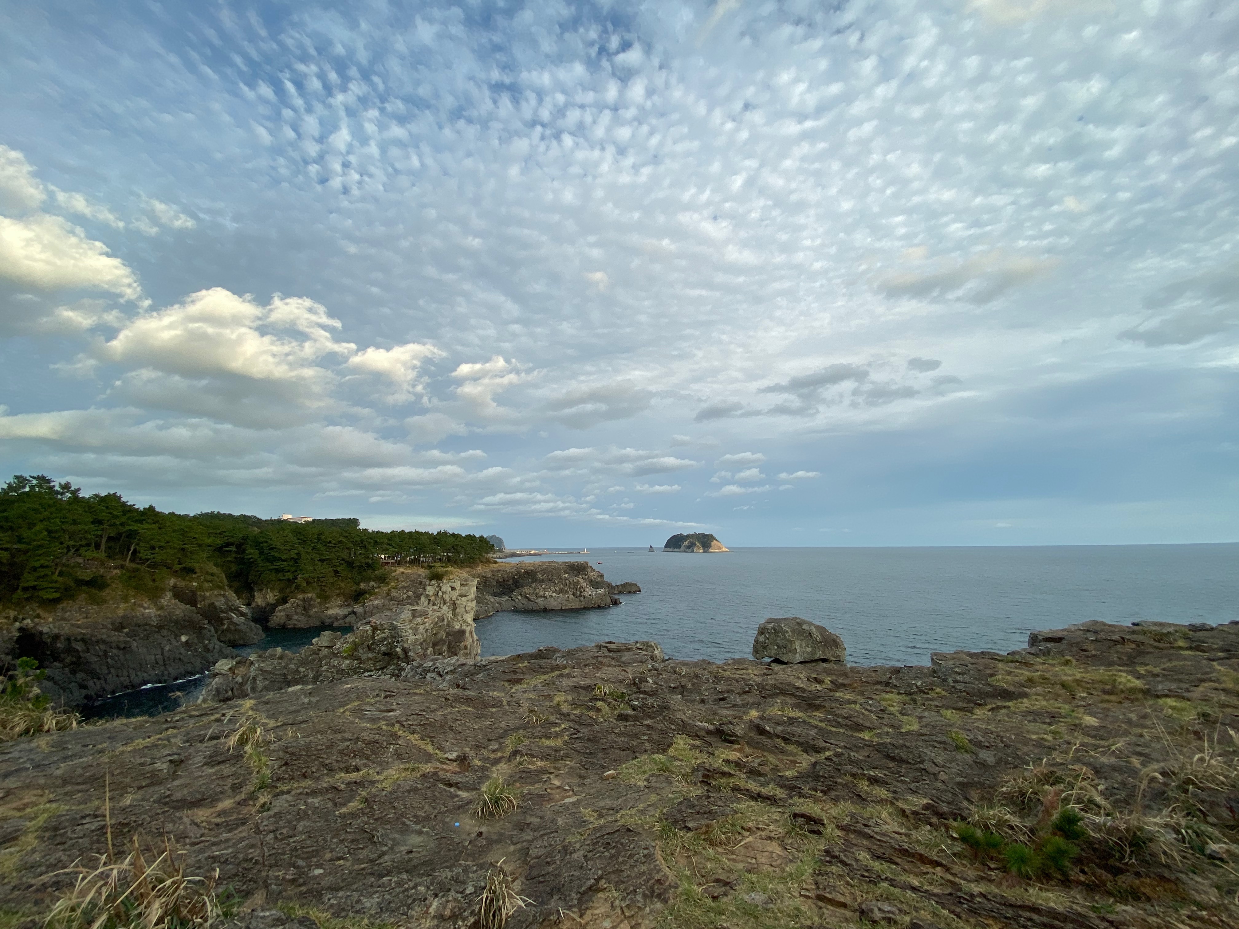 12A4651A-D355-41D7-A4C9-4492438038D3