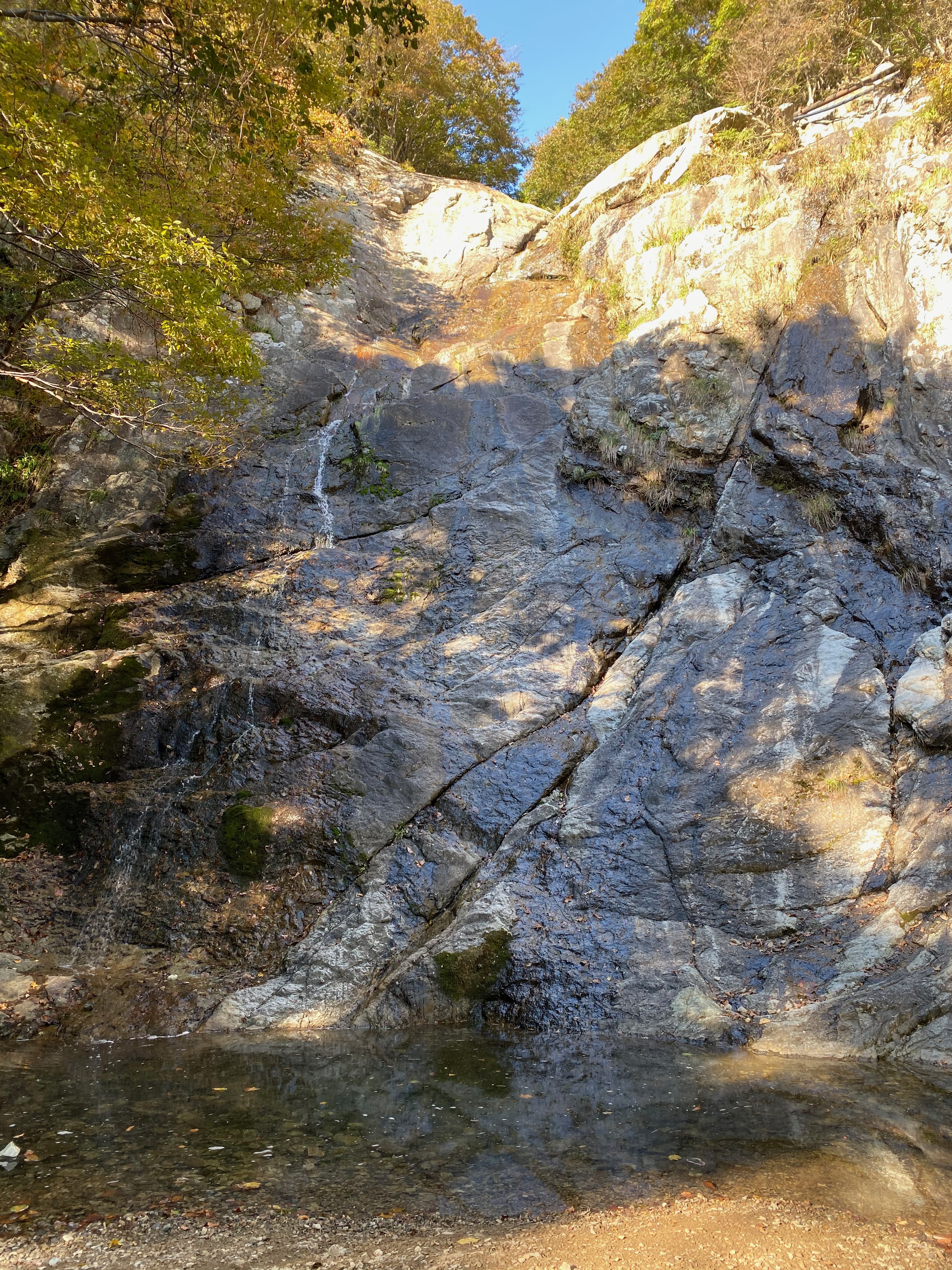 2071CE76-31CD-4784-9247-CD95D287C963