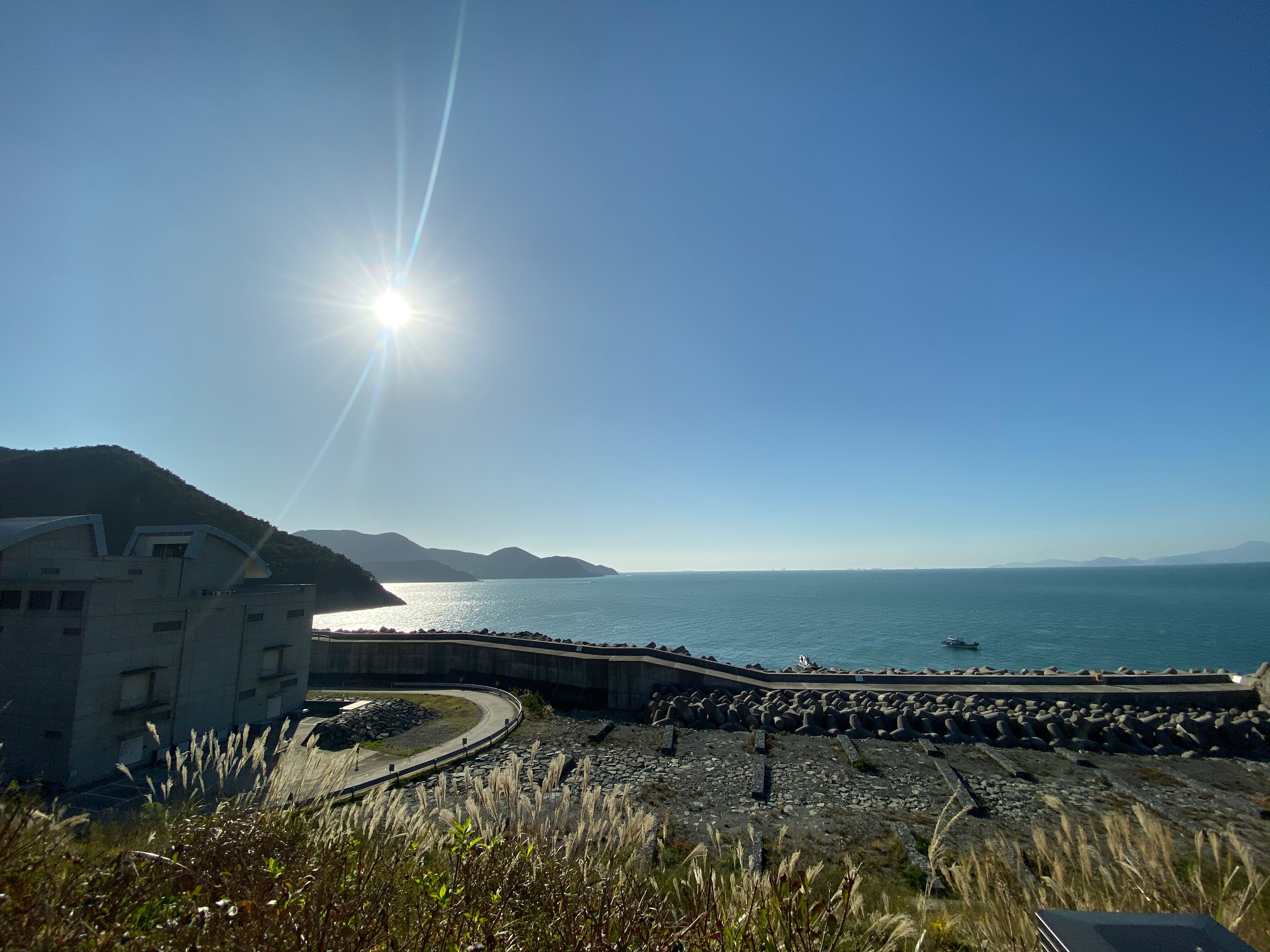 223509D1-4076-422D-B8EC-8EAF33B218C3