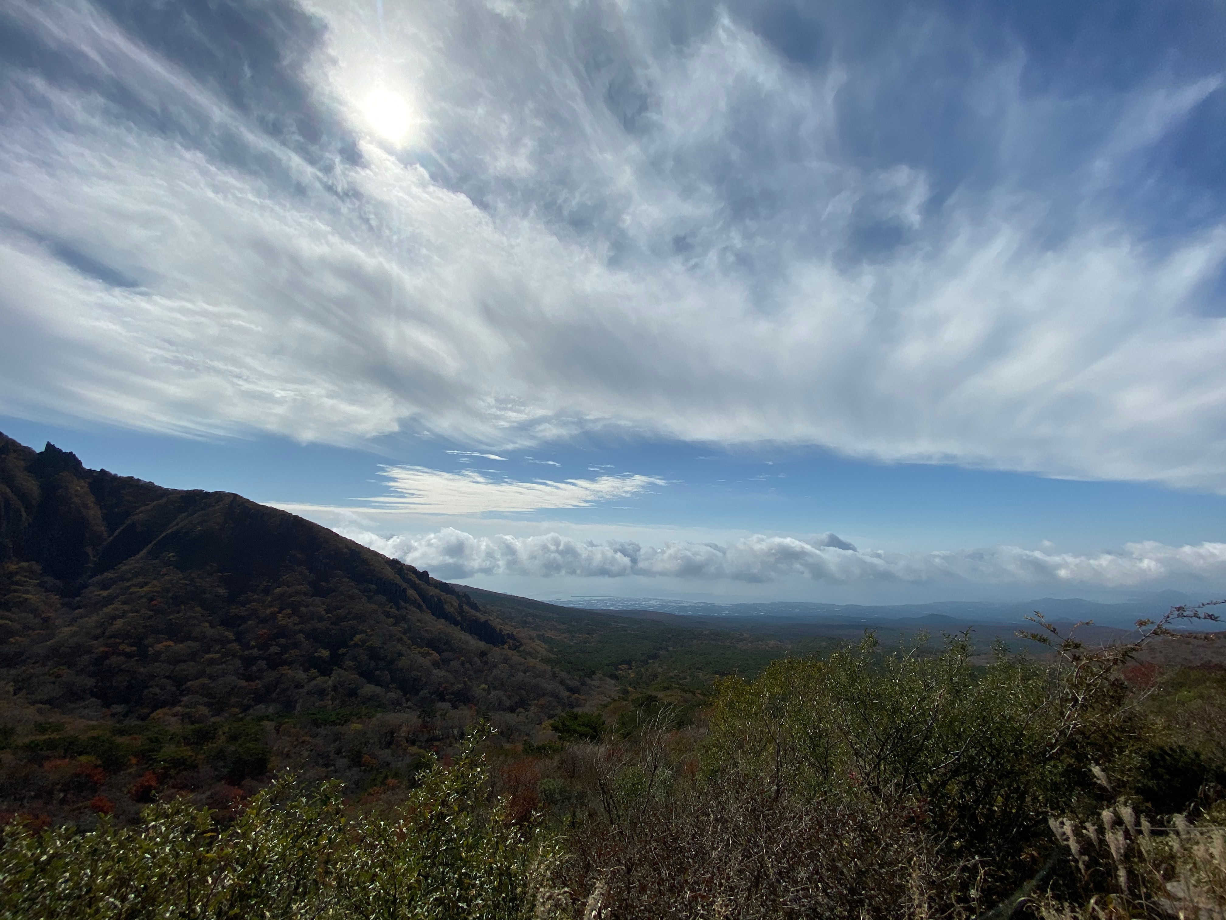 265A5433-A69F-423B-87B2-F2FEC0171682