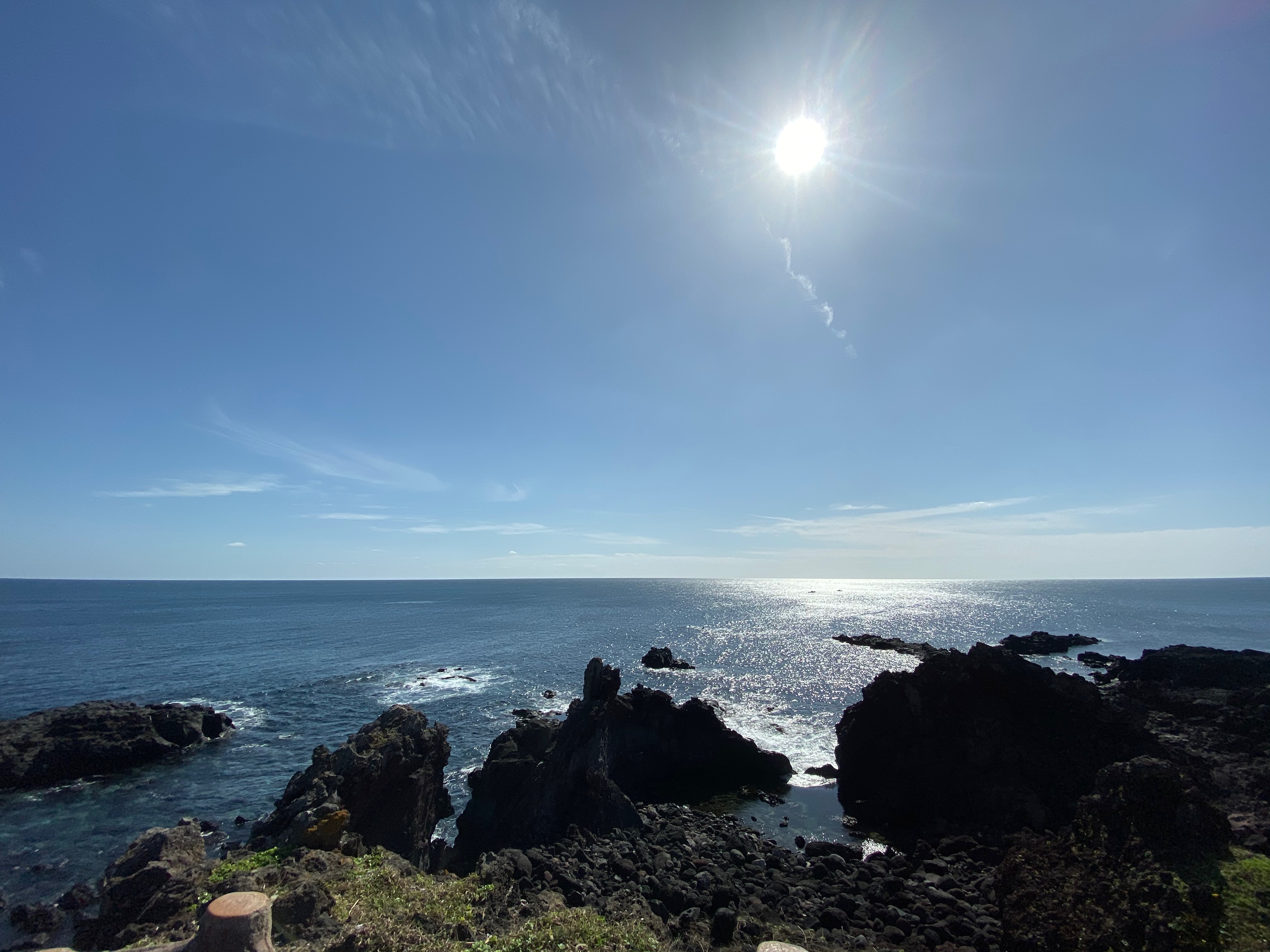 2695B19E-66A0-4025-AE64-E3DF036CE02F