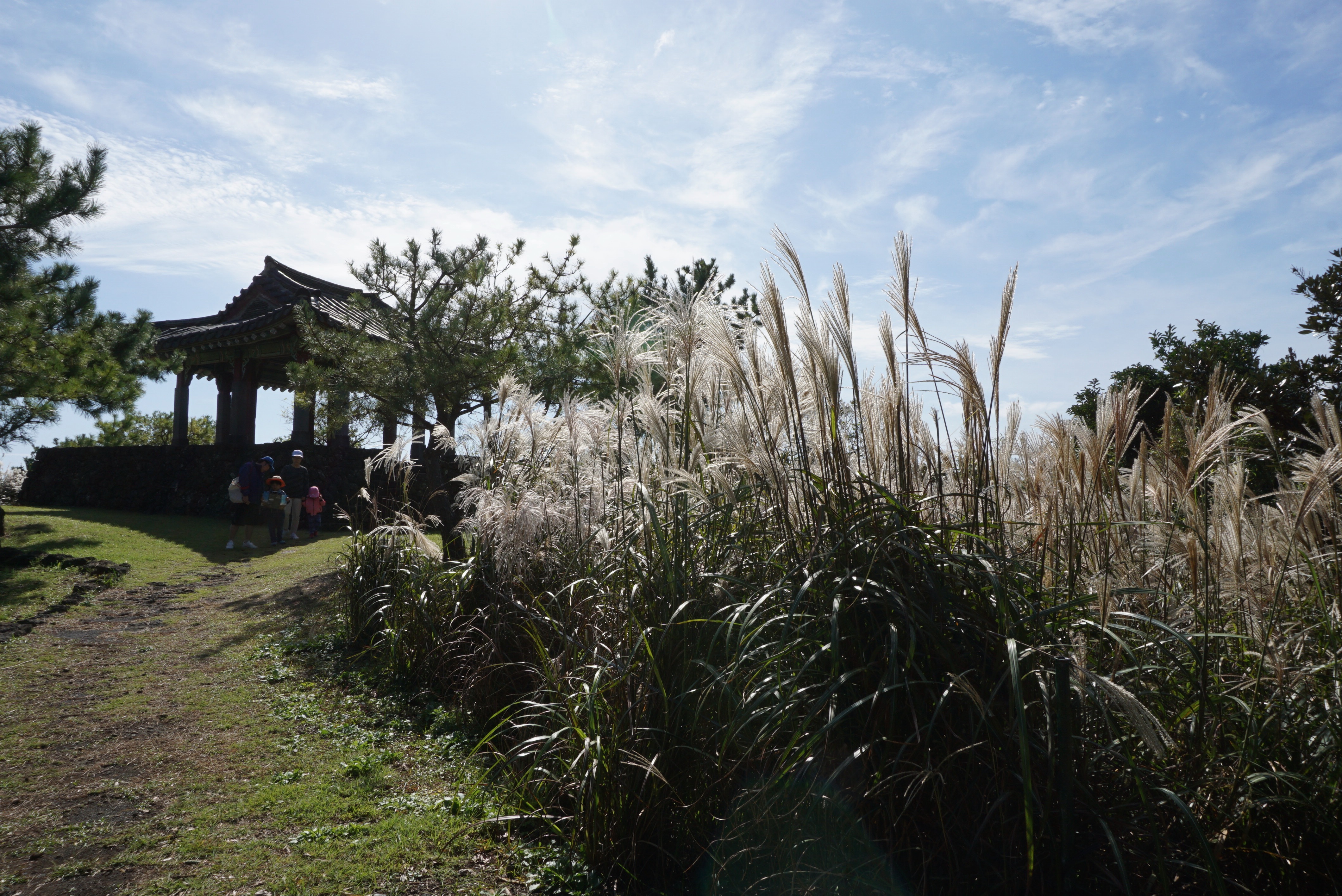 35D7D08D-10B2-4906-9199-7B93D1322827