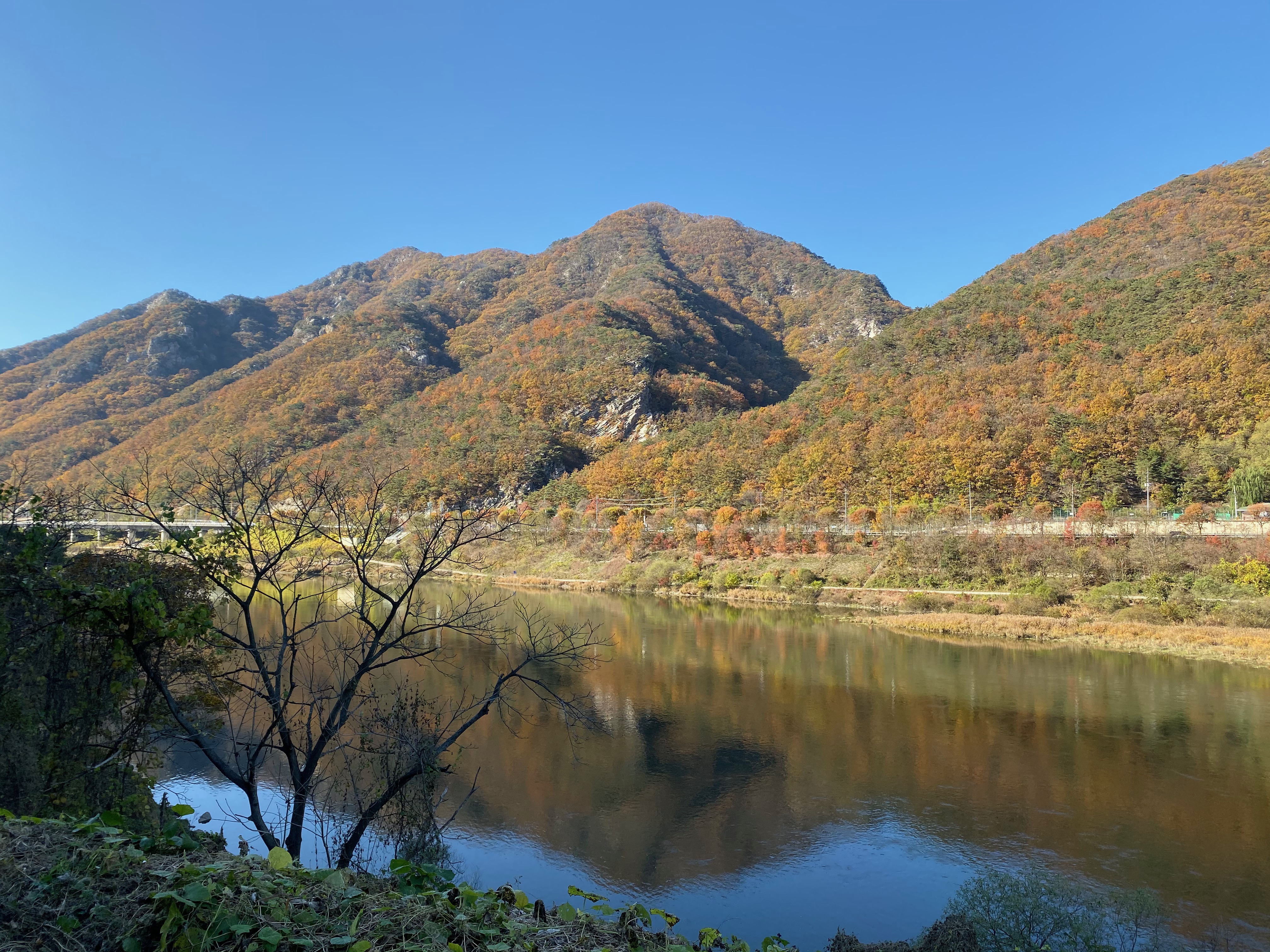 41A99687-5EF4-4577-8CEB-140ADE955067