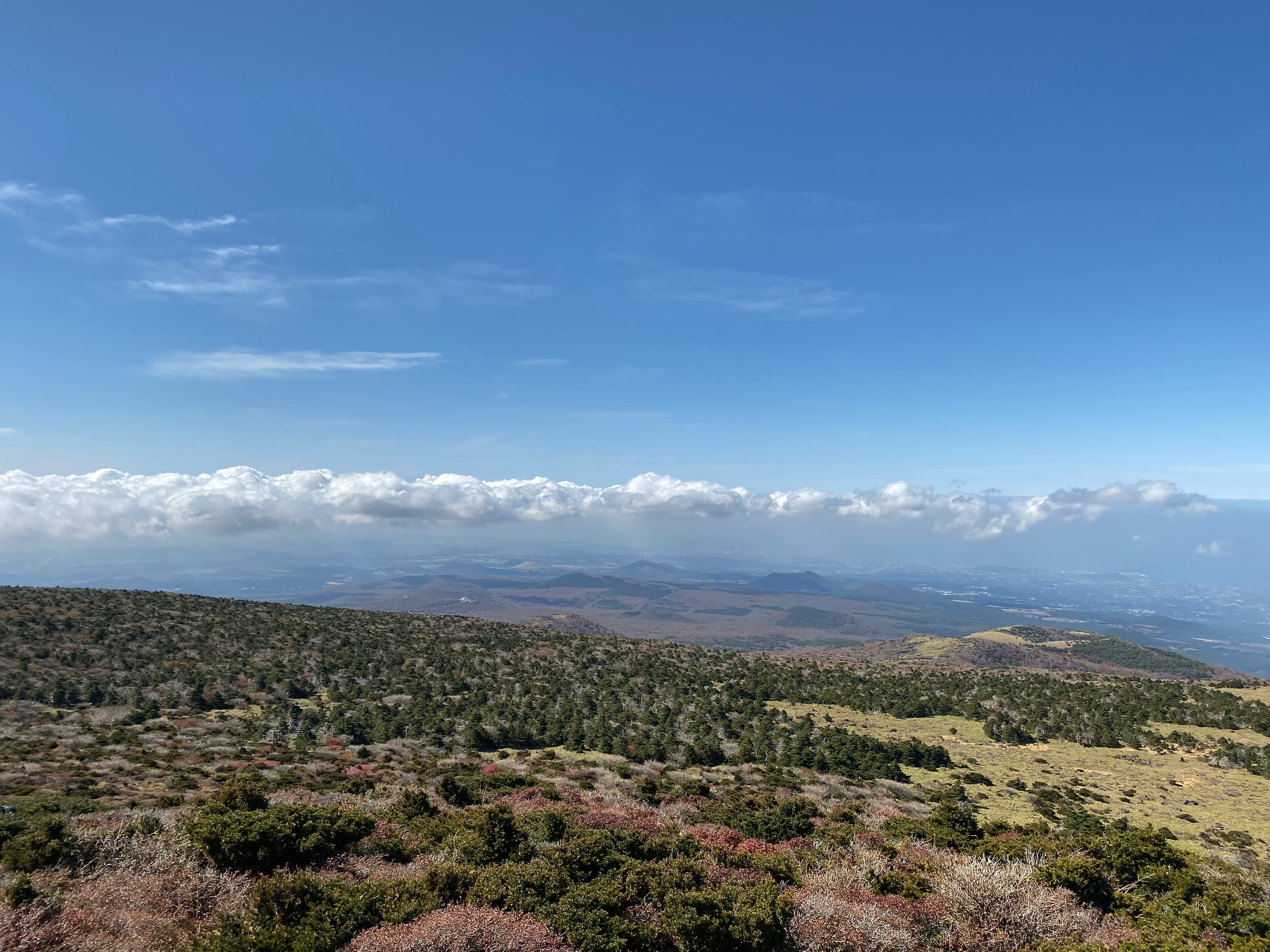 4DBB7C43-4202-4FD8-84C6-5DDA308CA69B