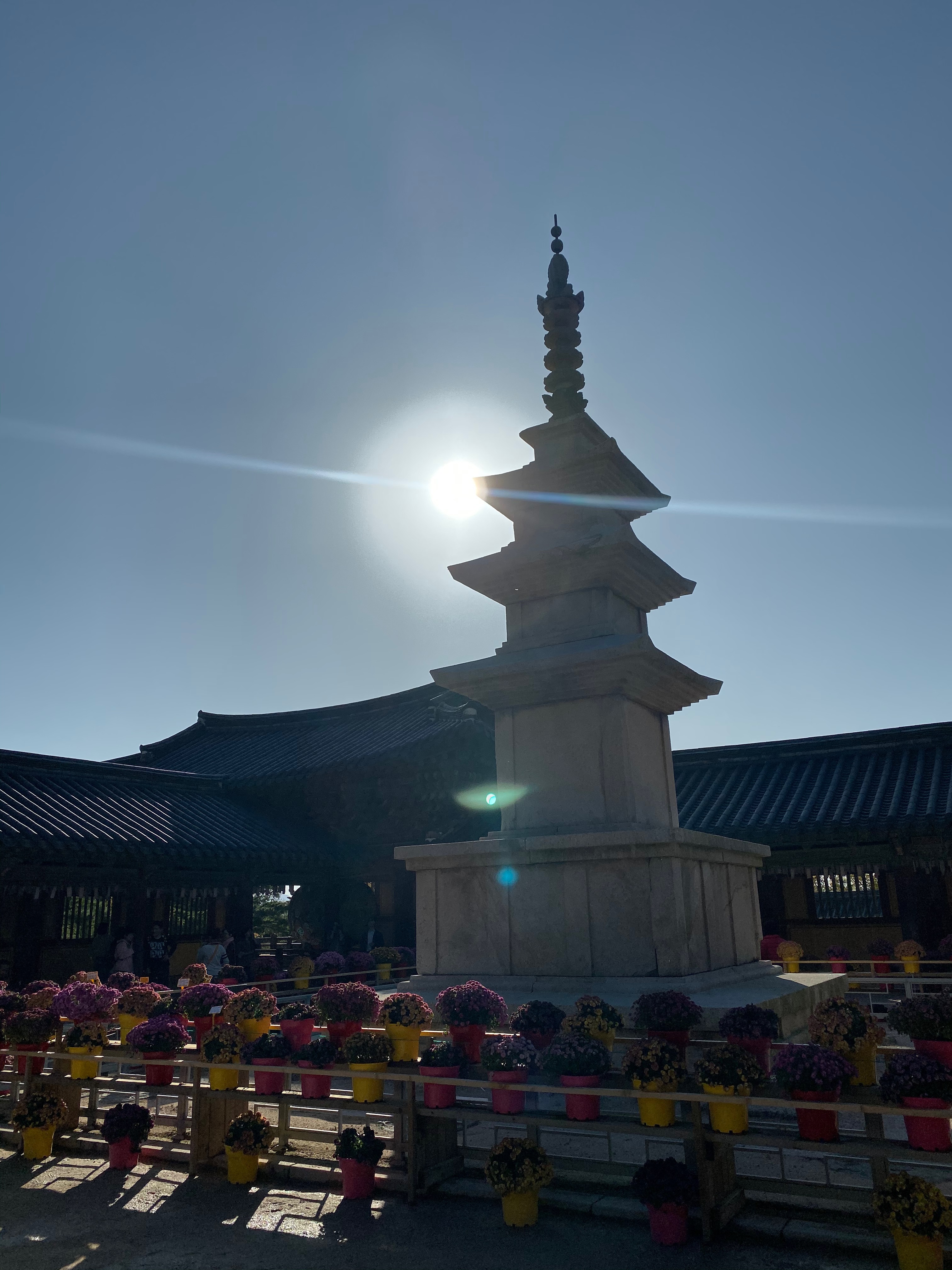 6CD92C51-1D11-4E25-9847-8B62EC1B8985