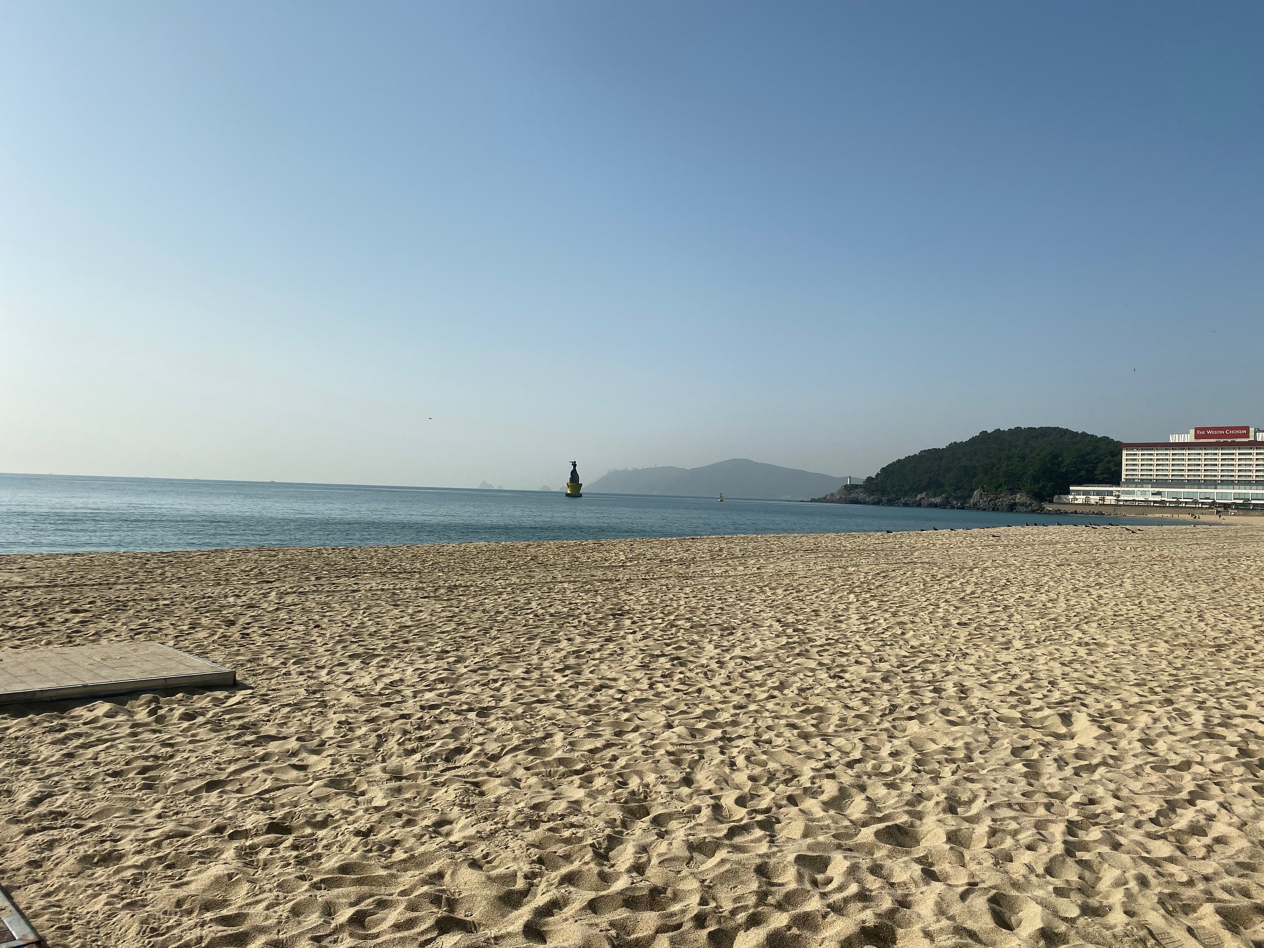 78789FFD-2A59-496C-B6B6-D2CB9252D06C