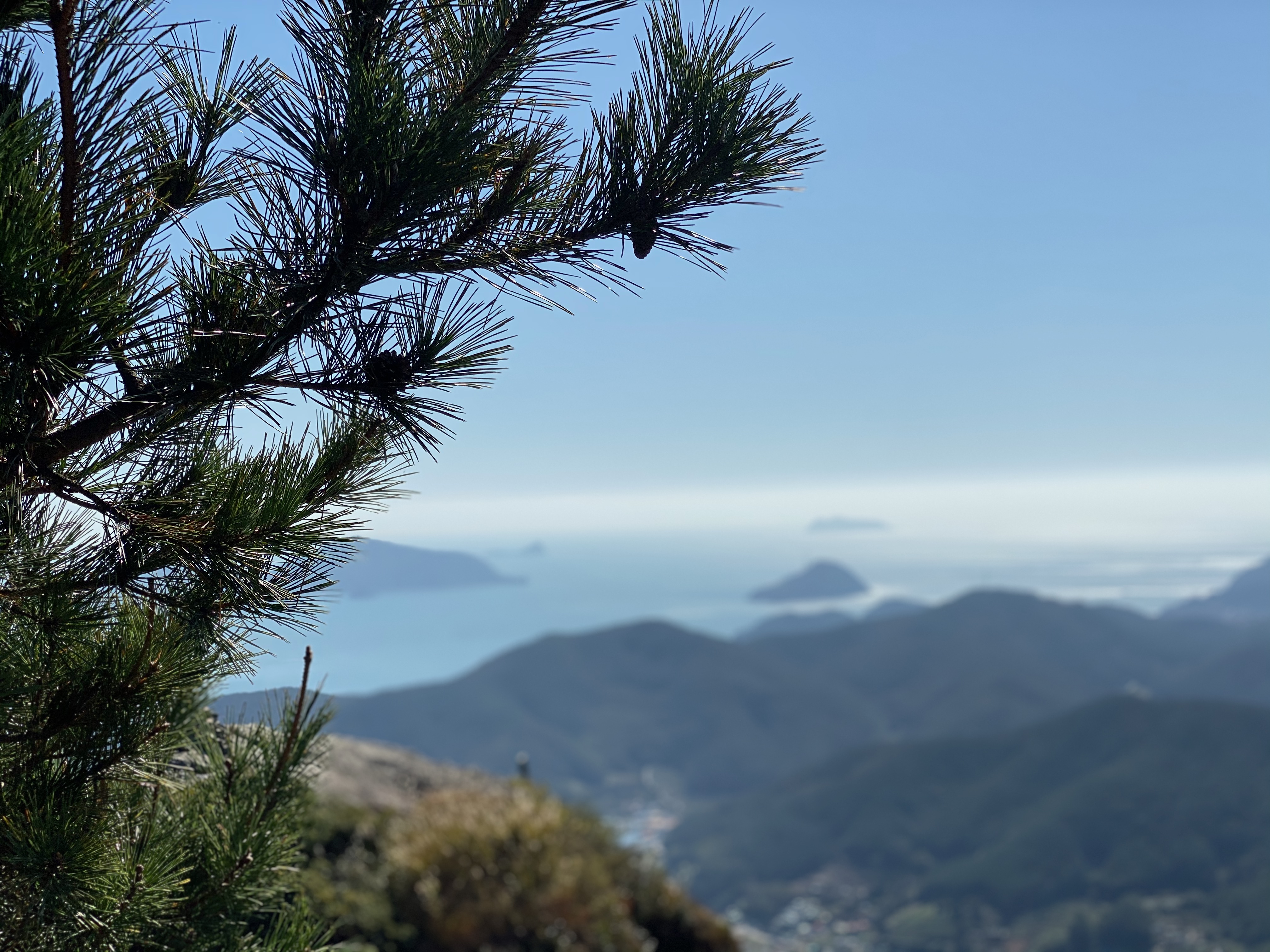 792FA917-6A9A-4723-B97B-D64BCCE542E0