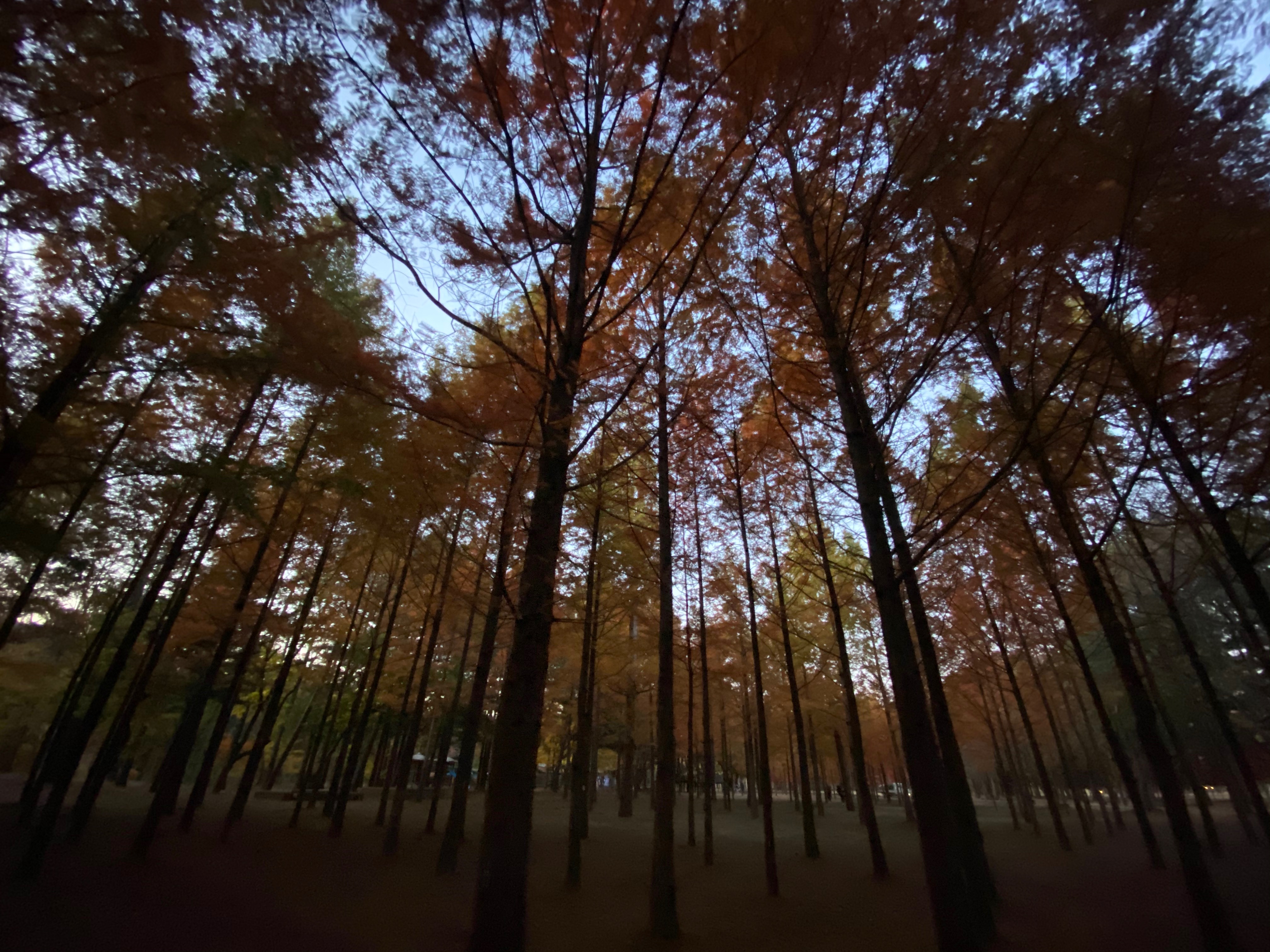 C9705EC7-2DDE-46D3-BB4A-1E97DE89B776