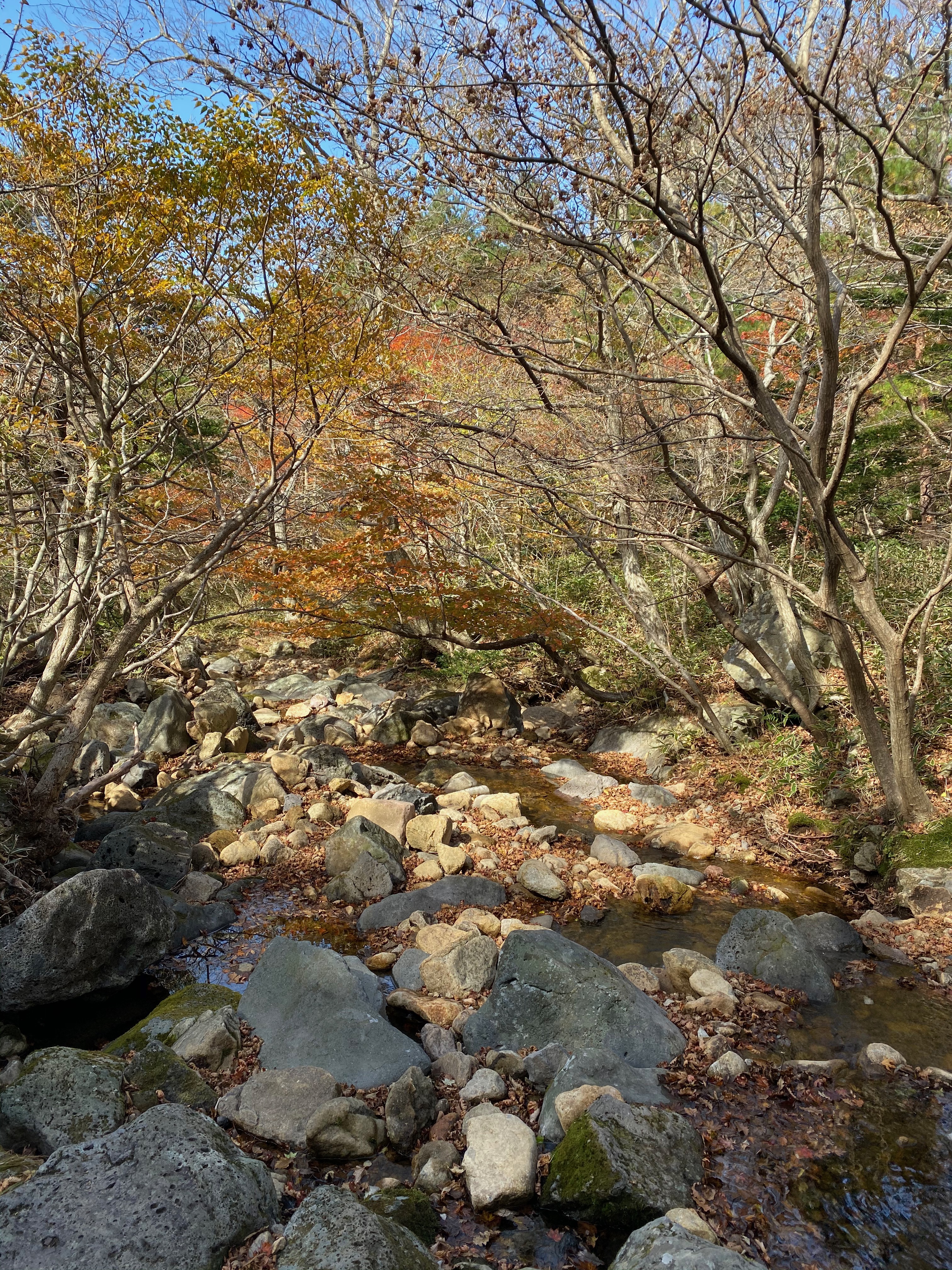 CFE07BD8-BC4E-4AEB-9C2F-C1A7BC3D865E