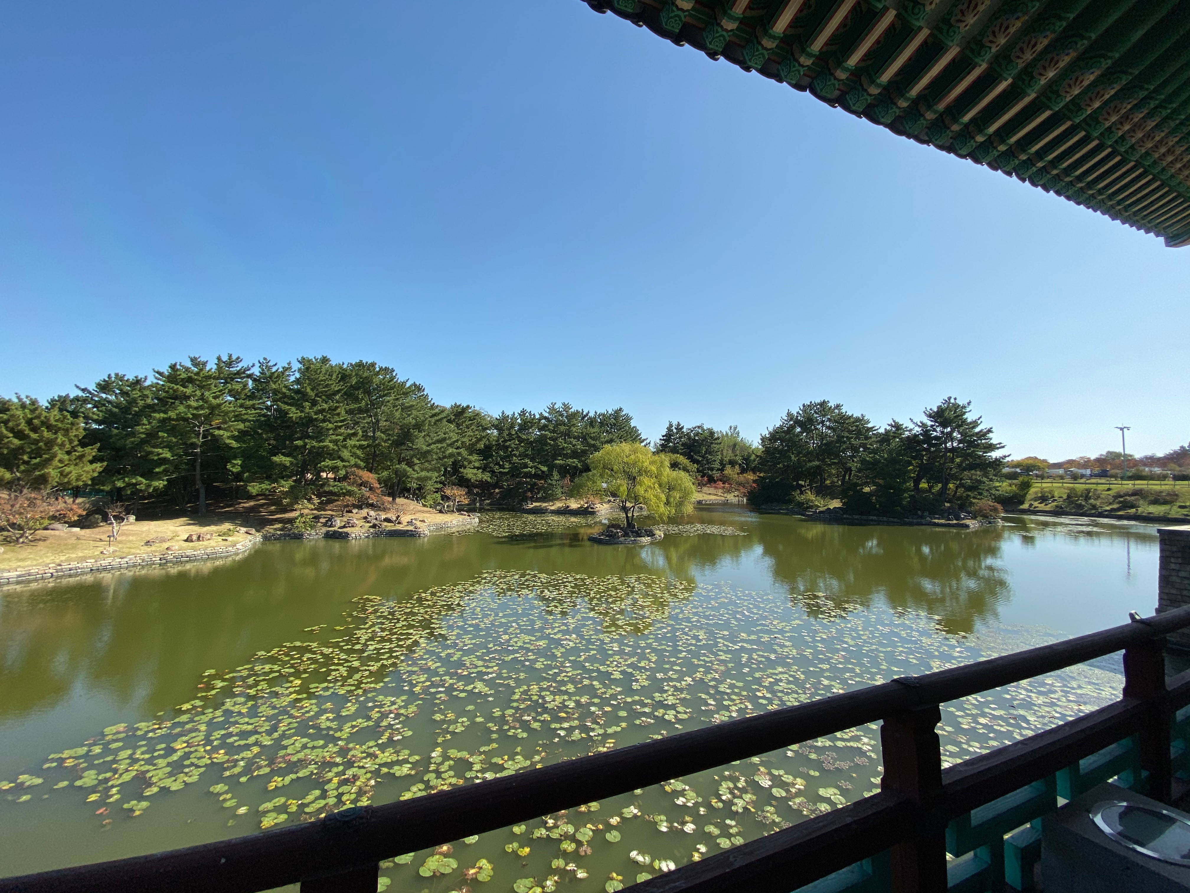 D0E91A79-21D0-443D-A874-7A8CB89D15BD