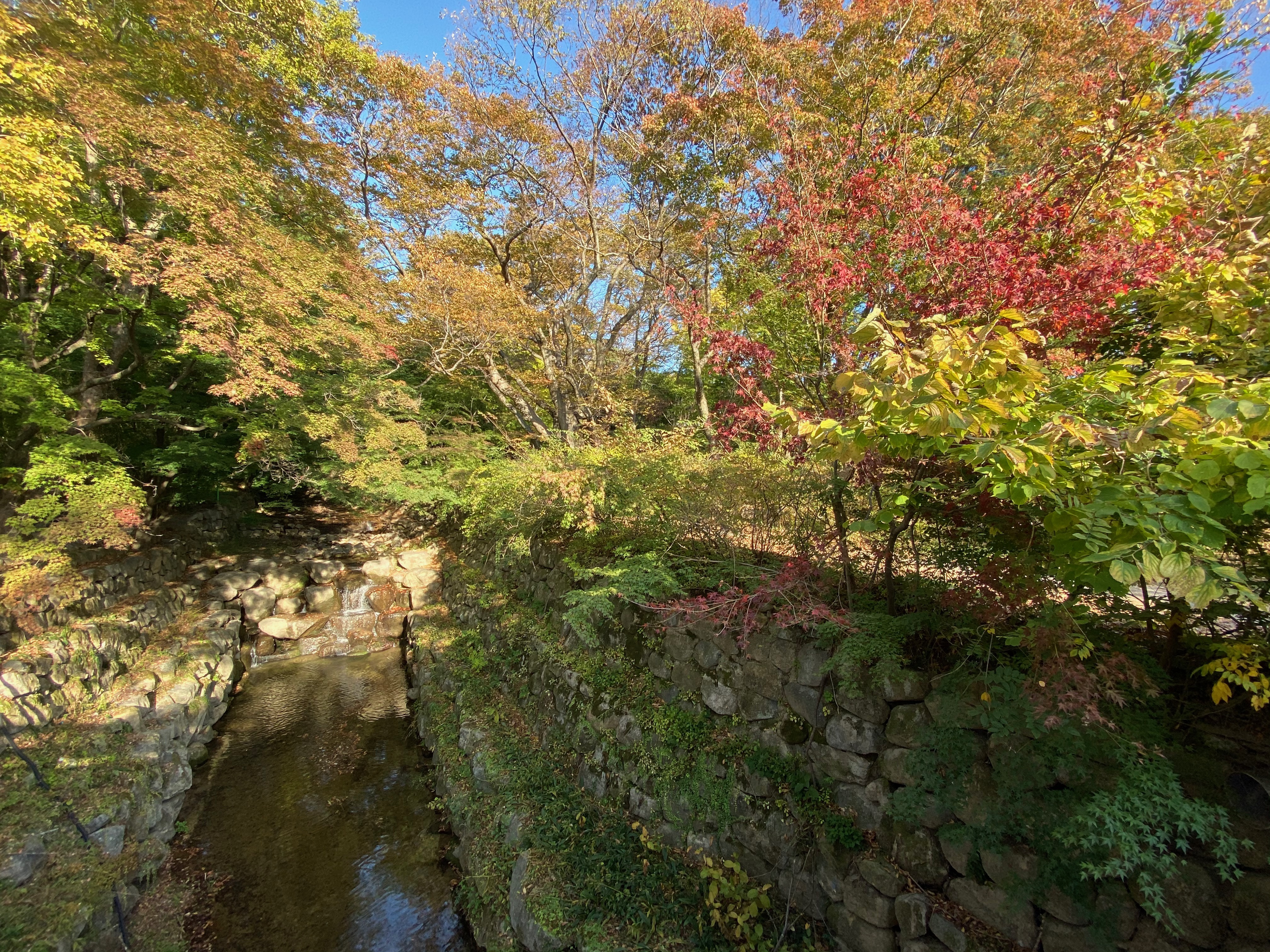 D35A19B2-8197-4B43-960F-C0CE3E59EFC8