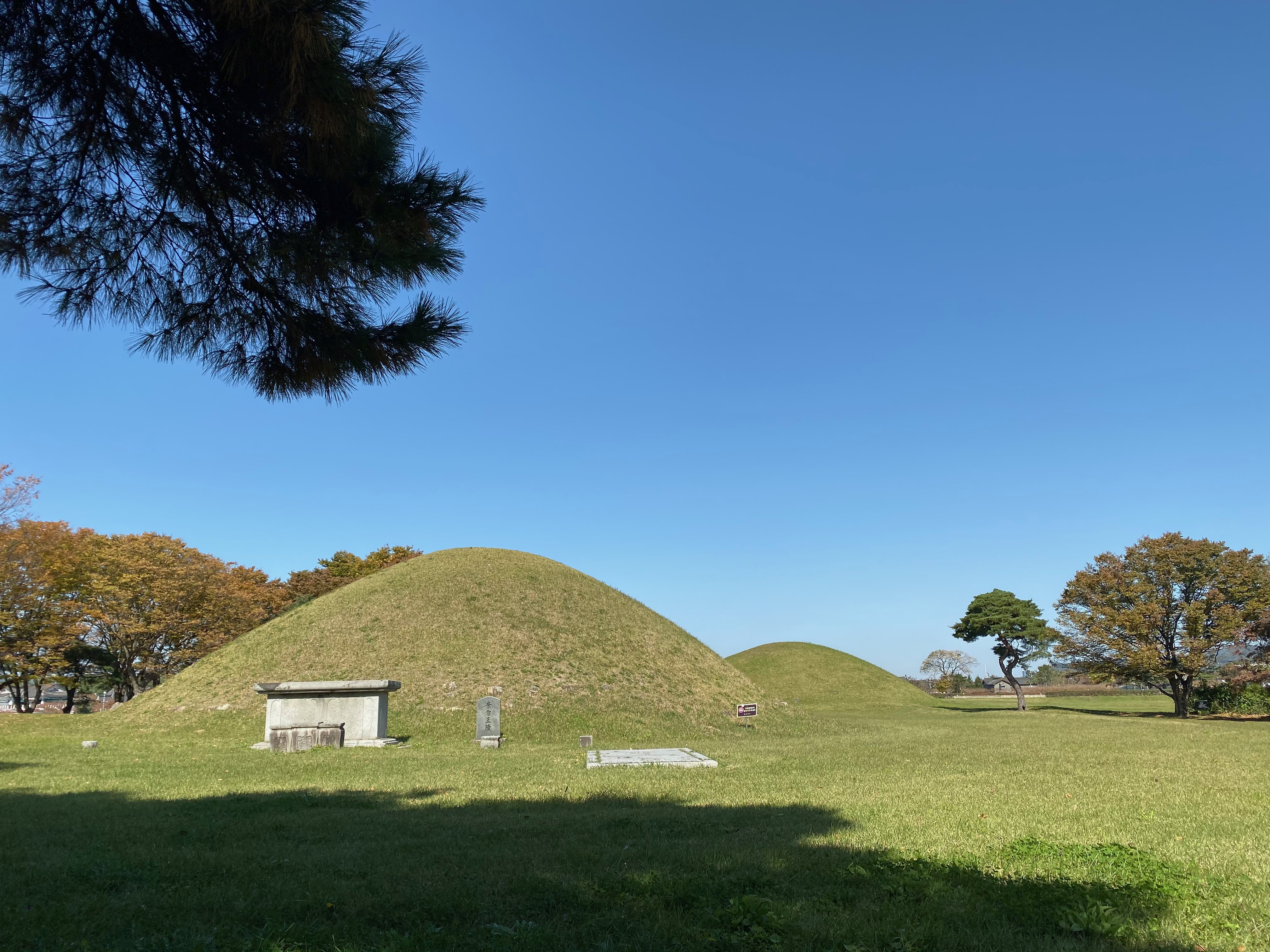 DBD911E6-0BC8-4787-9050-3FD66763DD2C