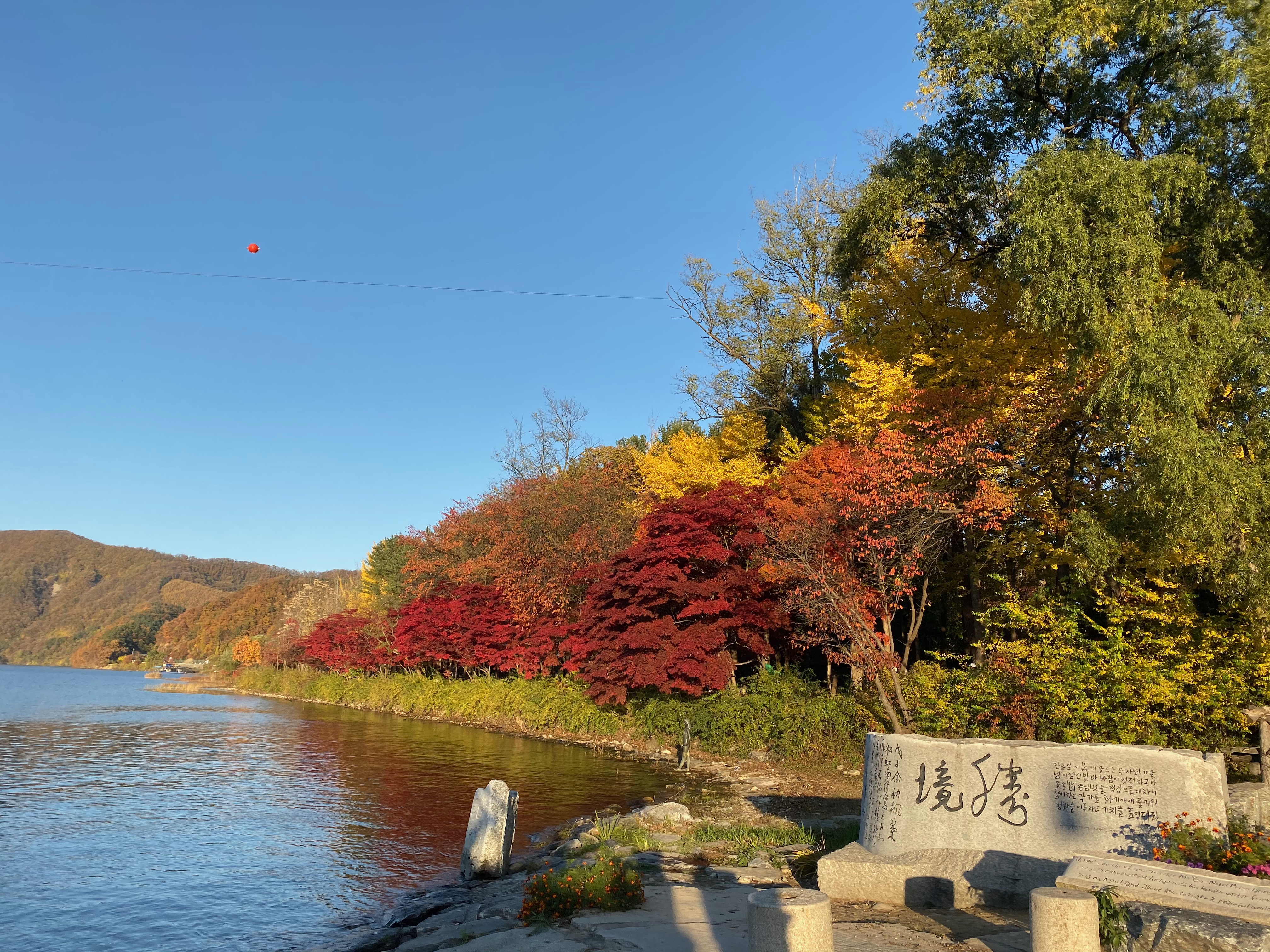 E024104E-BD2F-4D8D-BBA8-18A81D21E189