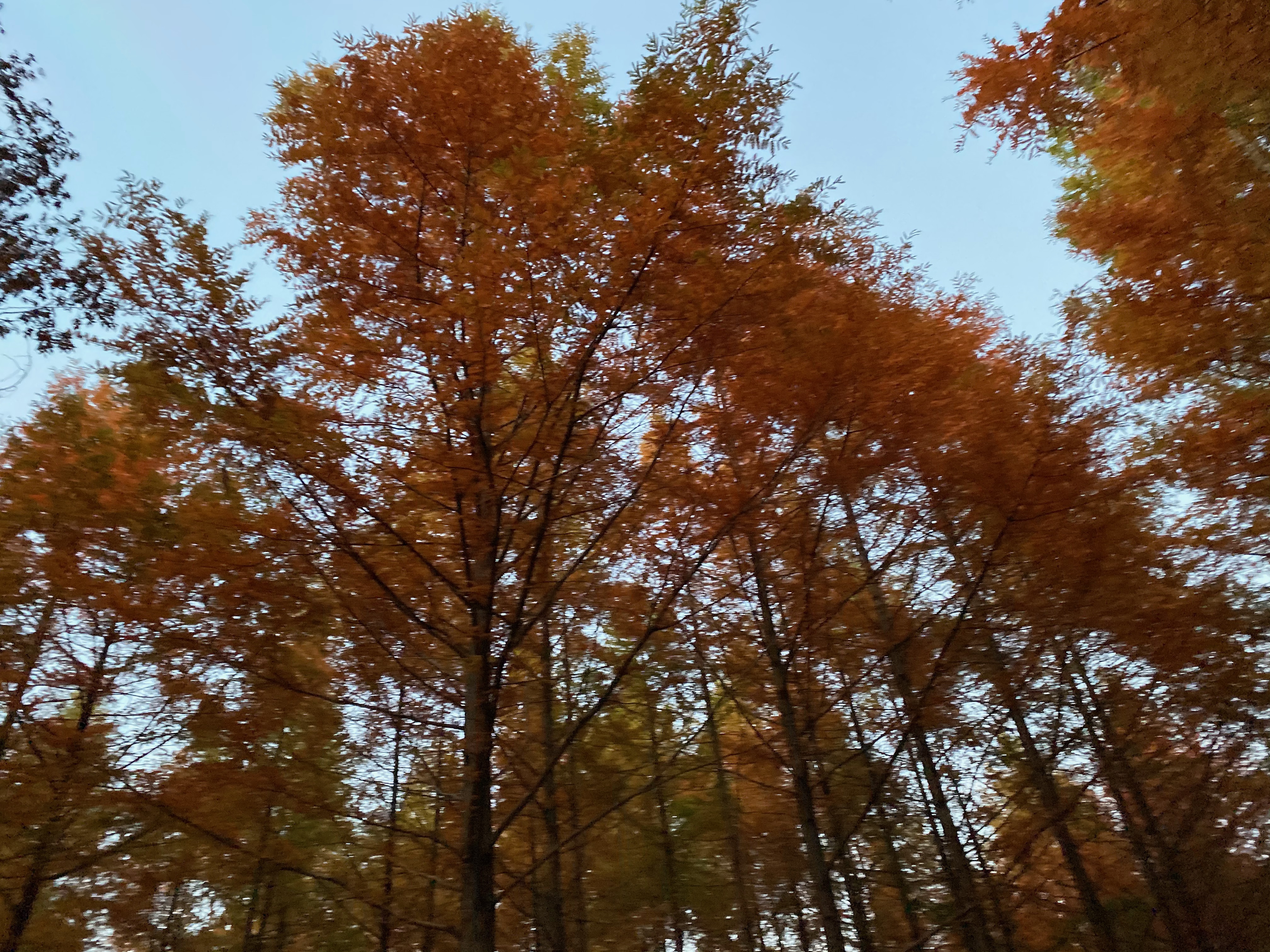 F77B2BAE-4A6C-4B98-A646-9446B345381B