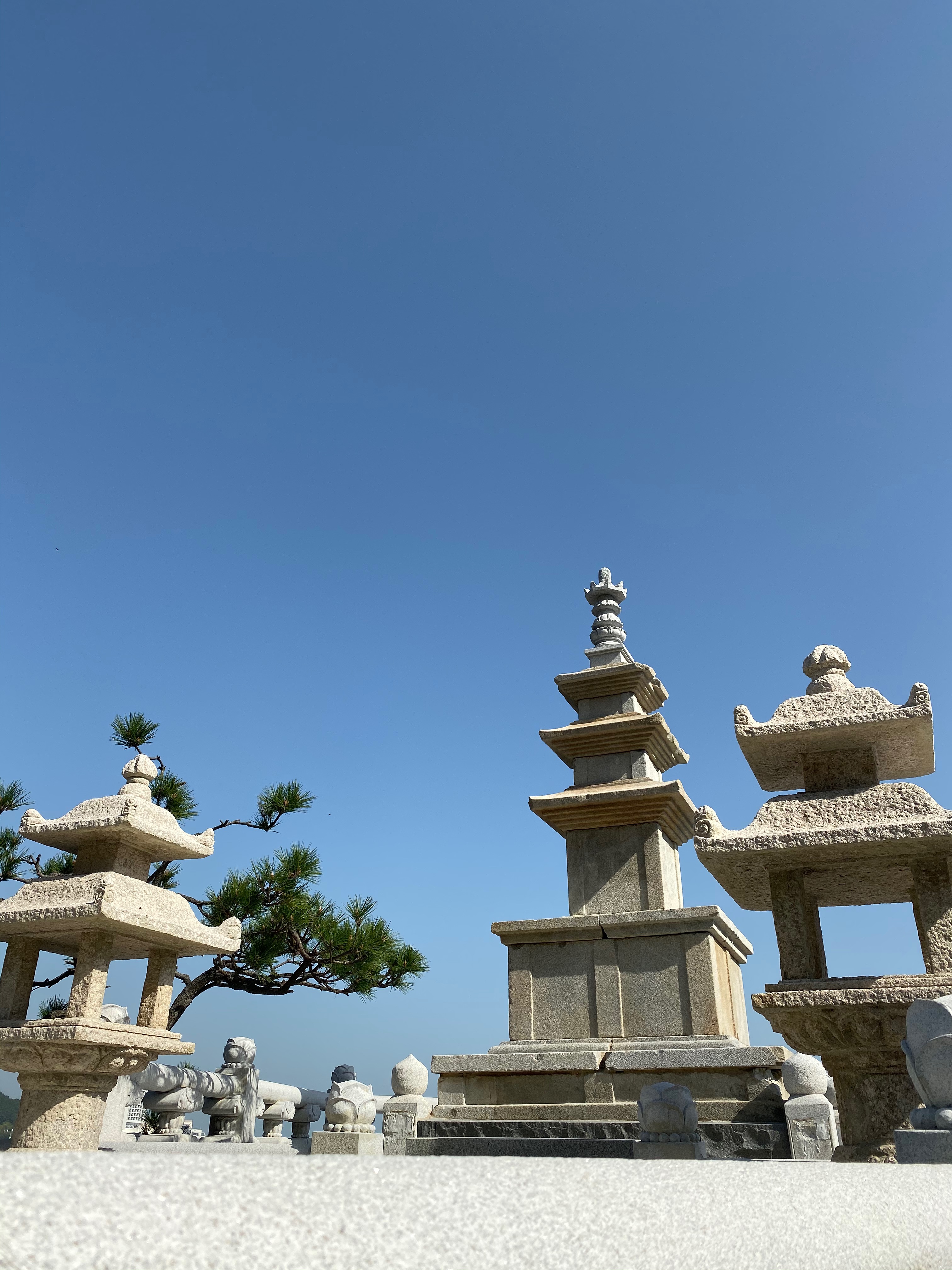 F8CC7369-5DE4-43BF-9DBC-AD65757E132A