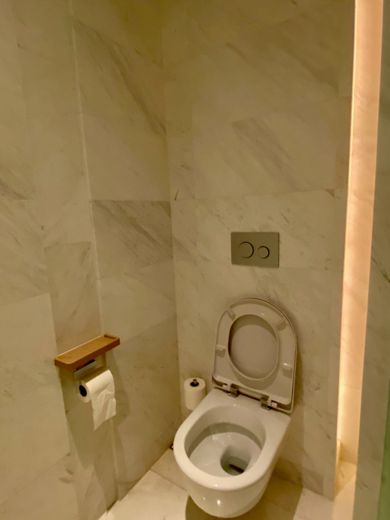 Toilet in the main bathroom