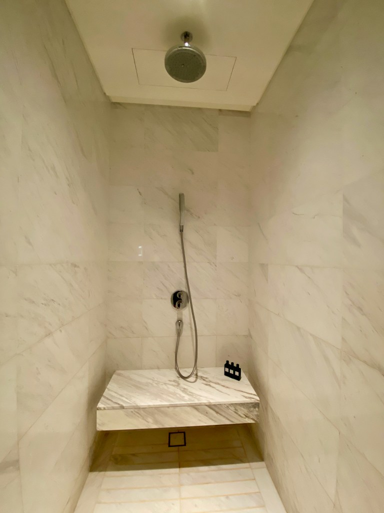 Walk-in shower with regular and rain showerheads