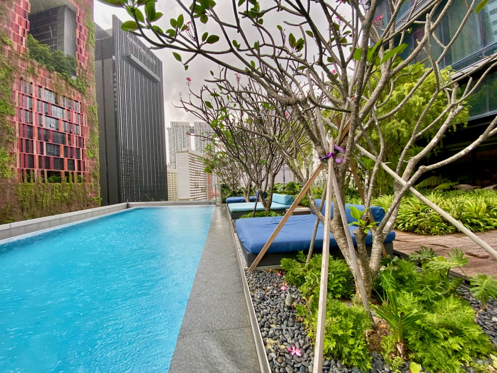 The vegetation at the pool feels like swimming in a garden